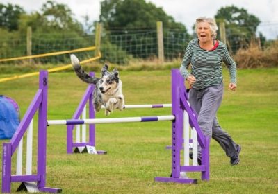 Dog Agility Training for Beginners: A Fun and Rewarding Journey