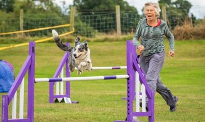 Dog Agility Training for Beginners: A Fun and Rewarding Journey