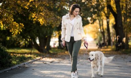 Dog Walk and Train Services: The Smarter Way to Exercise and Educate Your Dog